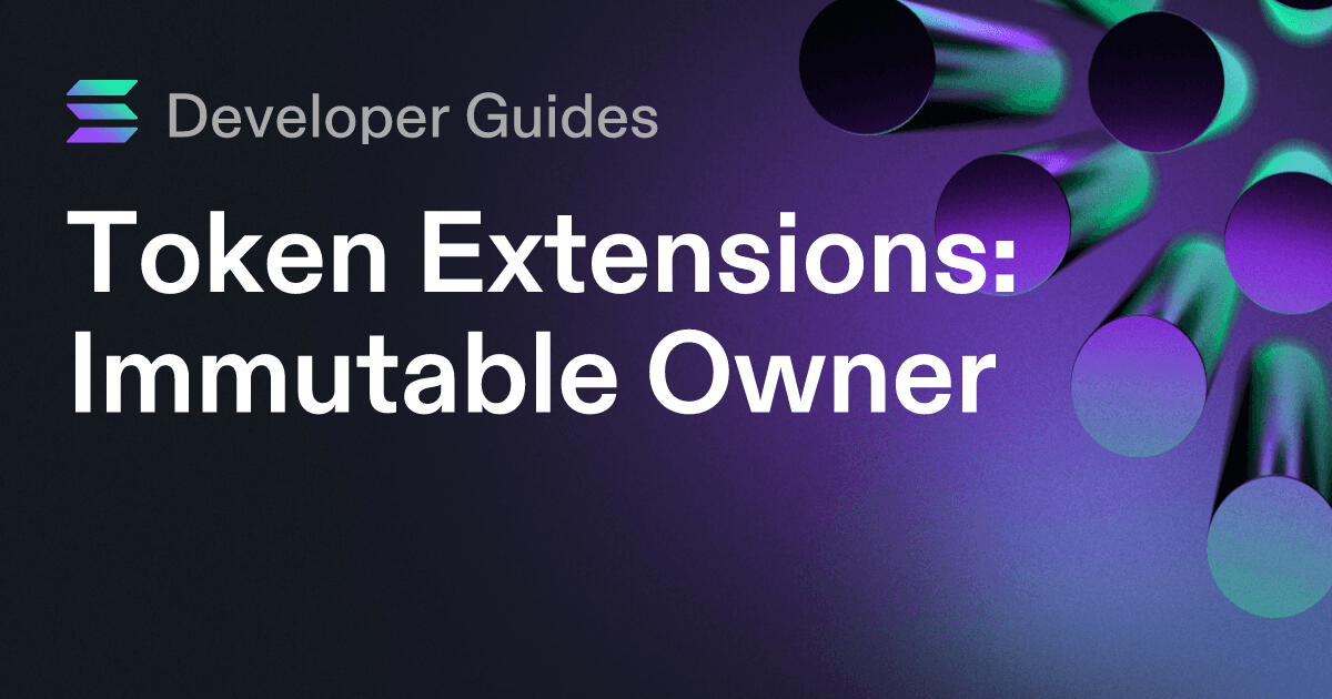 How to use the Immutable Owner extension